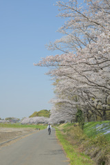 気持ち良さそう