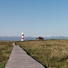 灯台の見える草原