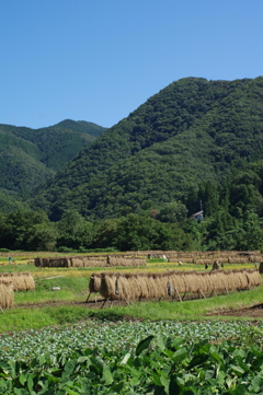 山里