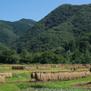 山里