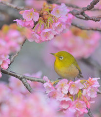 可愛く撮ってね♥️その１