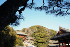 鶴岡八幡宮