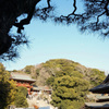 鶴岡八幡宮
