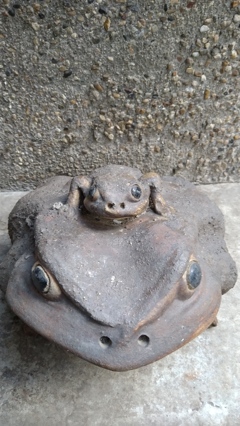 無事にカエル