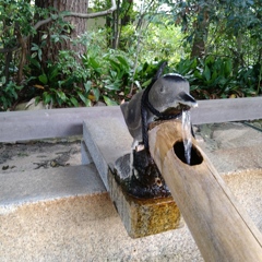 手水鉢