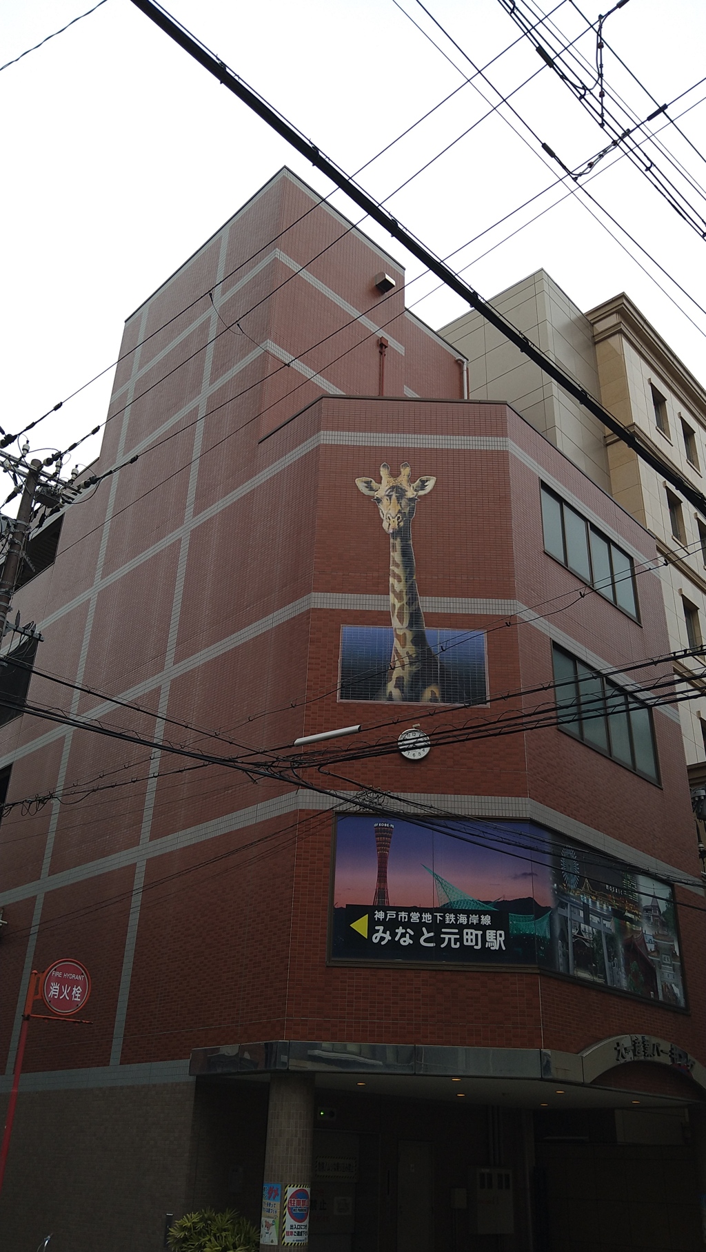 キリン