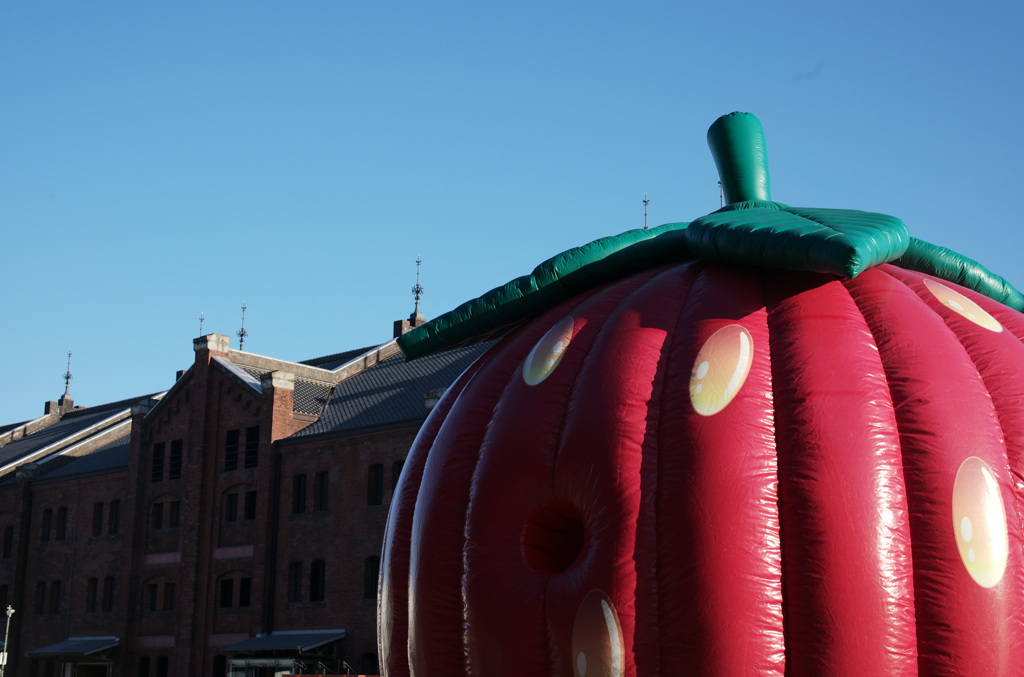 Strawberry in hometown 