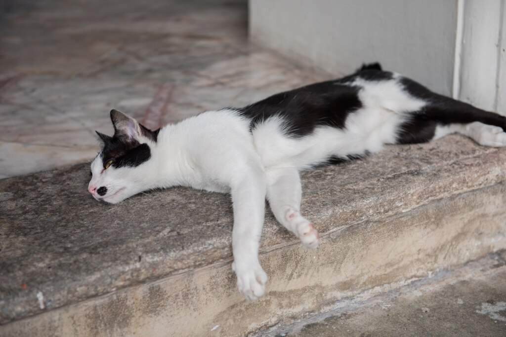 Bangkok201508タイ旅行-143