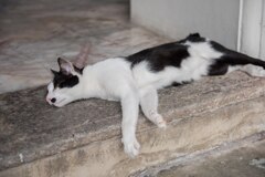 Bangkok201508タイ旅行-143