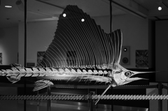 L1002073