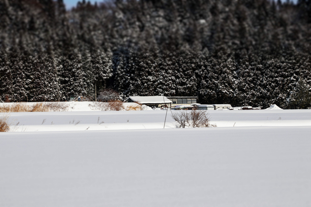 田舎の風景