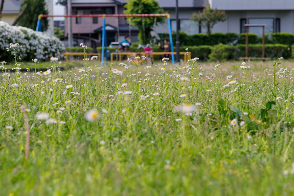 公園にて