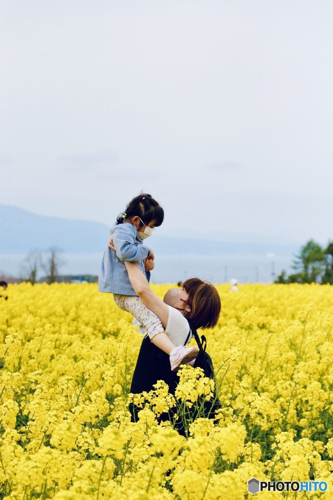 菜の花畑で高い高い
