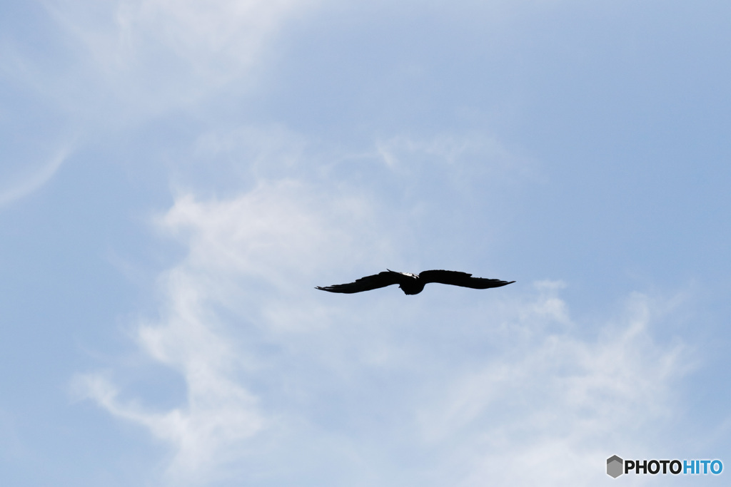 空を飛ぶ