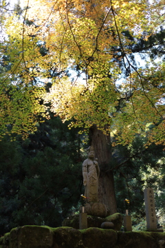 永平寺・参道脇