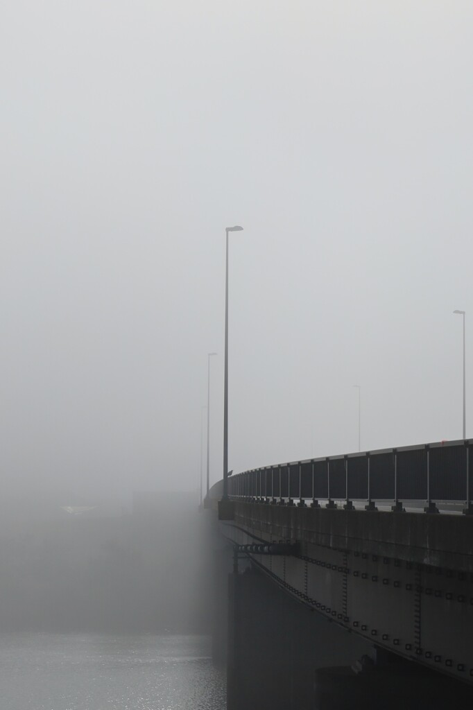 霧の橋