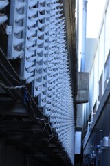 IMG_6160 (2)