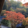 永平寺・本堂前の紅葉