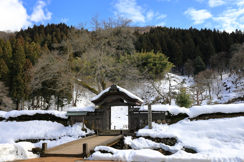 貴重な晴れの日にⅠ