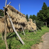 IMG_6025