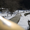 貴重な晴れの日にⅡ