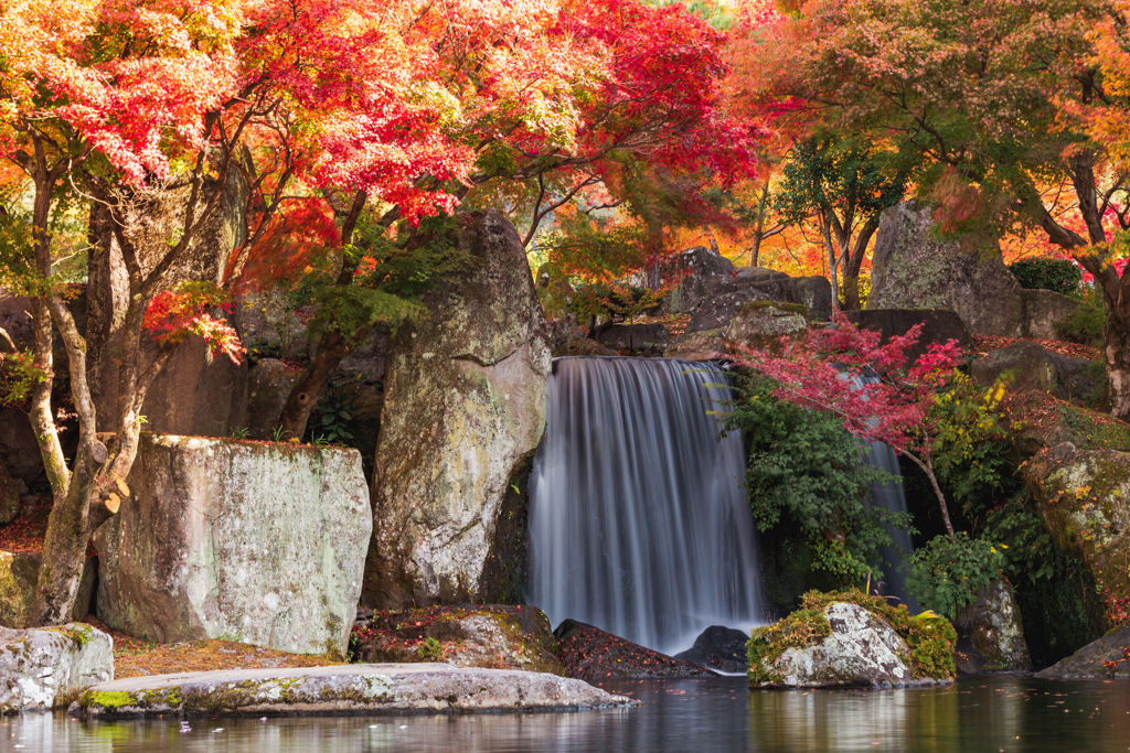 紅葉と滝