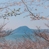 春　桜と海と山と