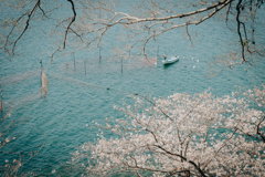 春　日常