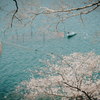 春　日常