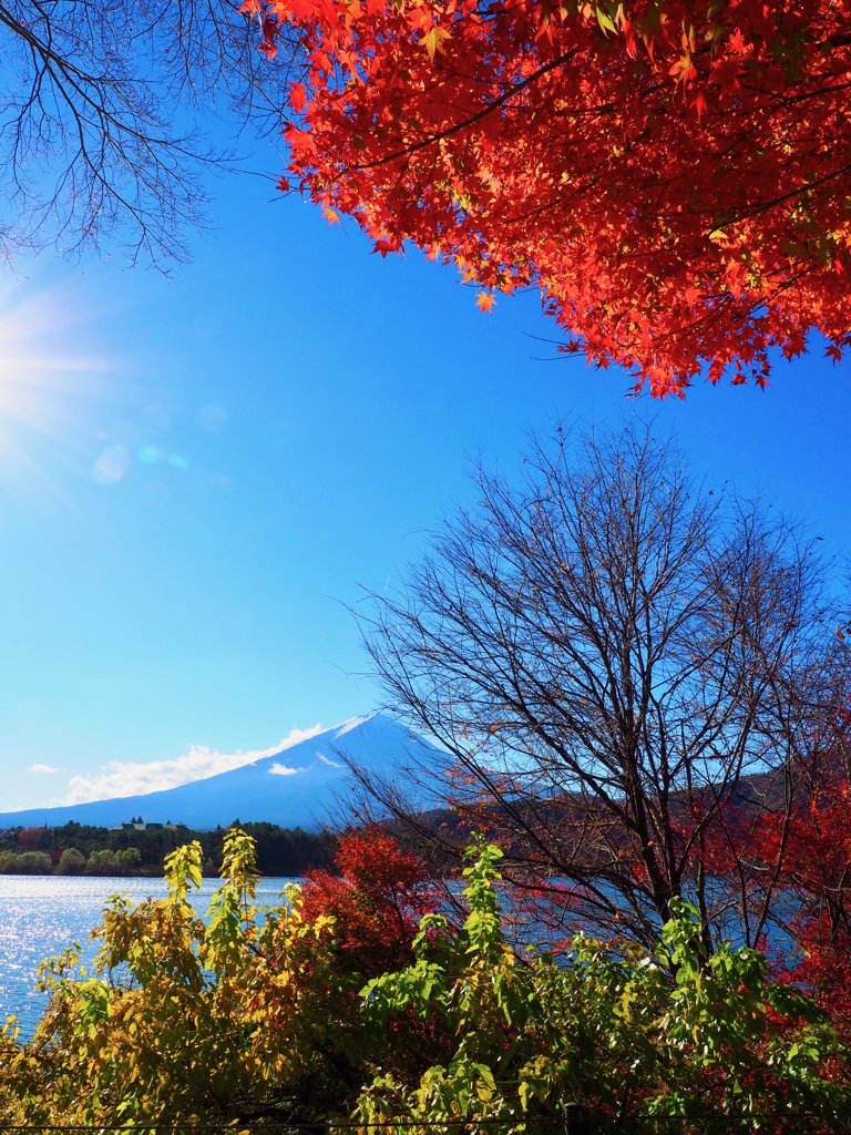 富士山