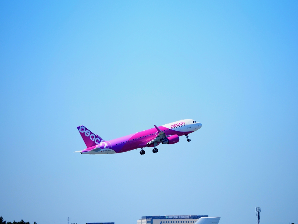 飛行機