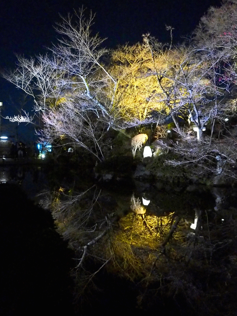 夜の京都