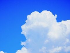 雲のみ
