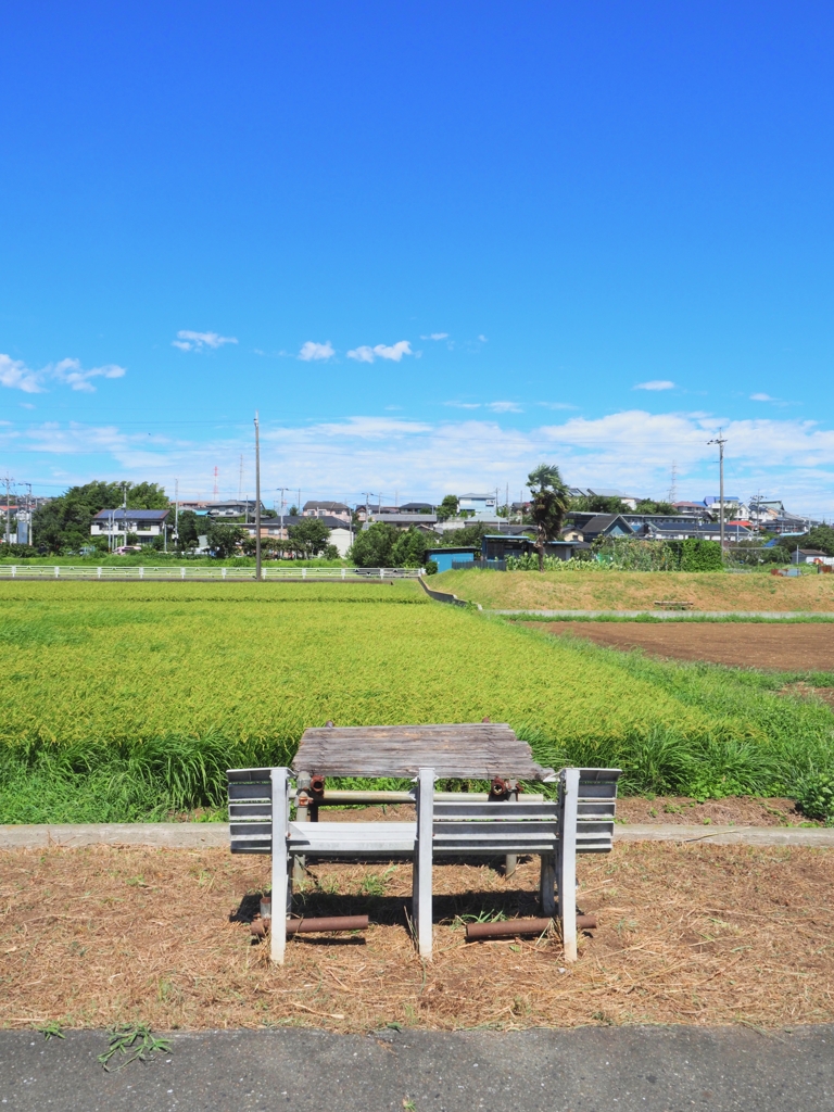 田園