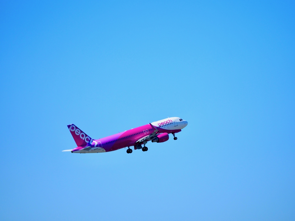 飛行機