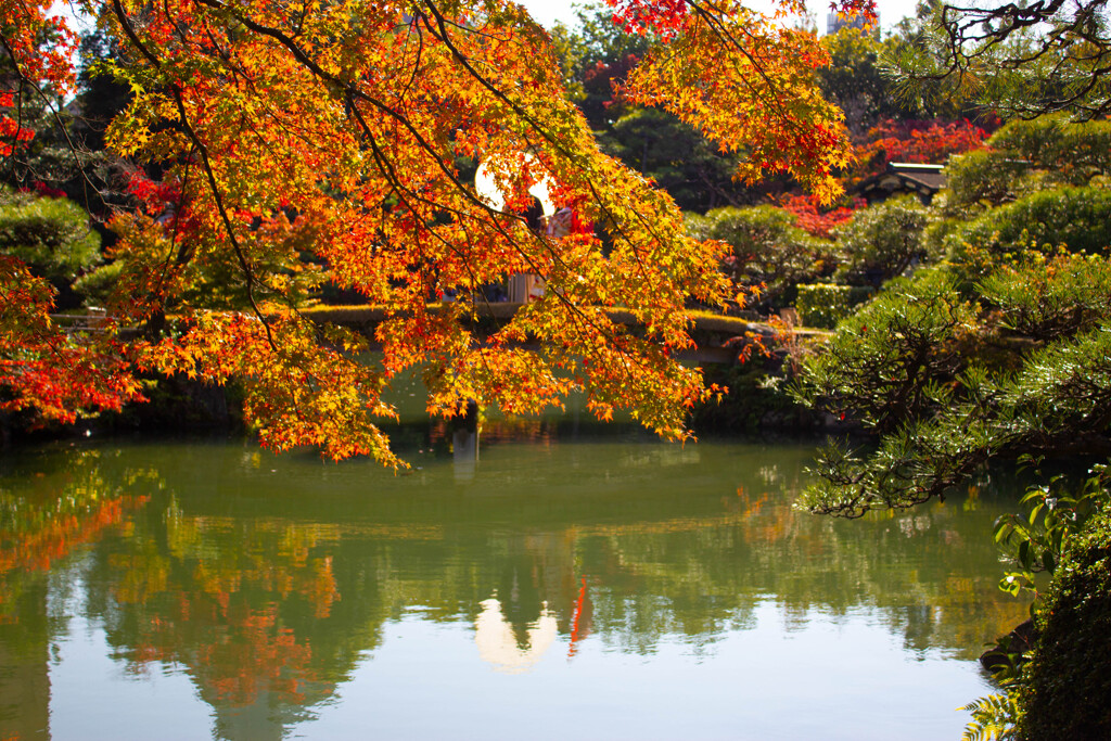 都市の中にある日本庭園