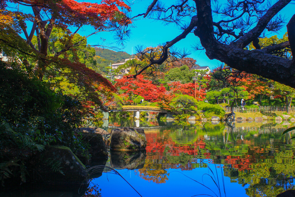 都市の中にある日本庭園