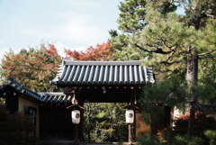京都　大徳寺