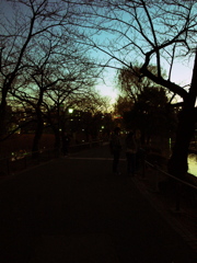 不忍池年の瀬2009