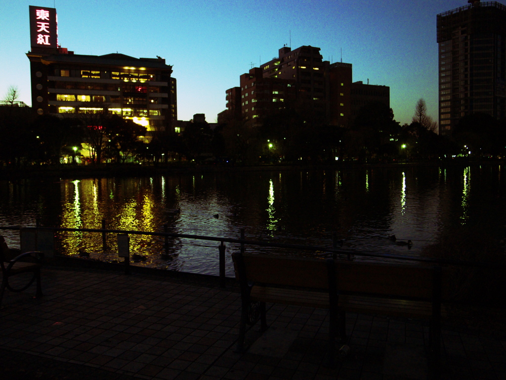 不忍池年の瀬2009