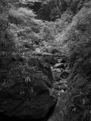 鳳来寺山