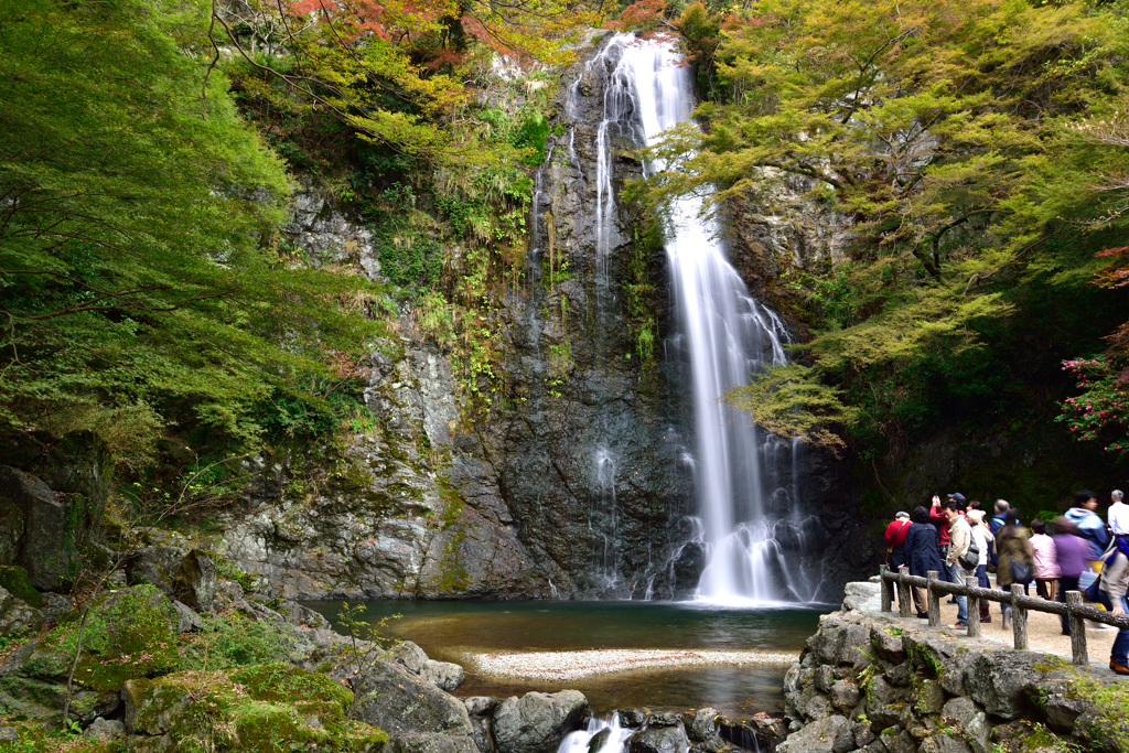 紅葉を求めて～大滝