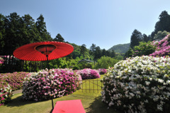 三室戸寺にて①
