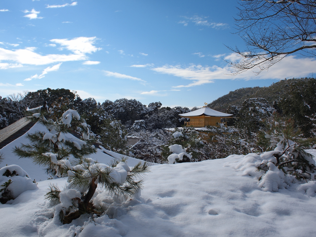 雪の金閣寺～③