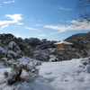 雪の金閣寺～③
