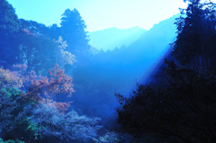 蒼い世界
