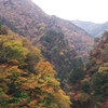 中津渓谷の紅葉-④