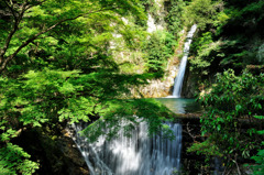 布引の滝