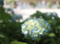 輝く