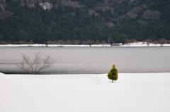 color in the winter